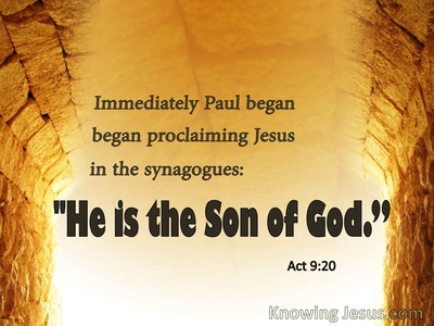 Acts 9:20 He Is The Son Of God (white)